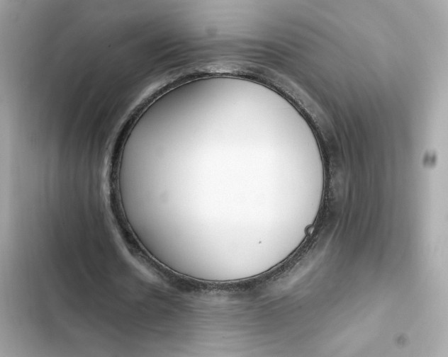 X0000102370530200808151837