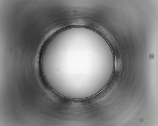 X0000102370531200808151837