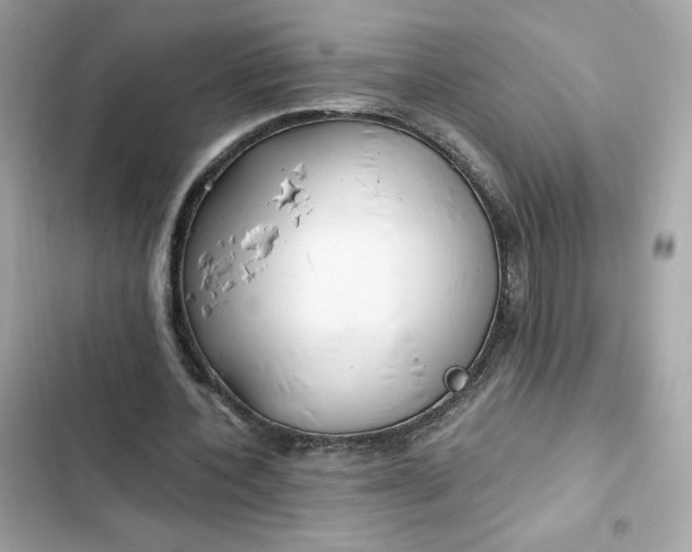 X0000102370532200808151837