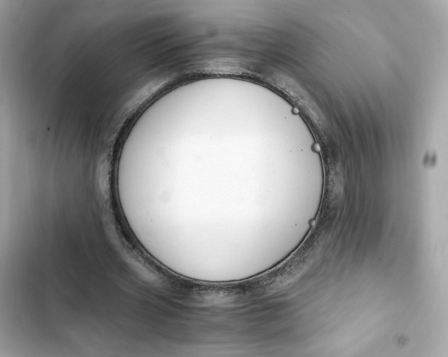 X0000102370533200808151837