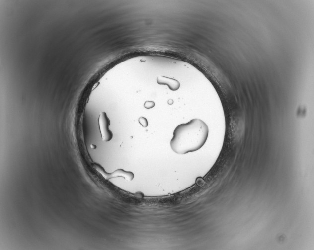 X0000102370534200808151837