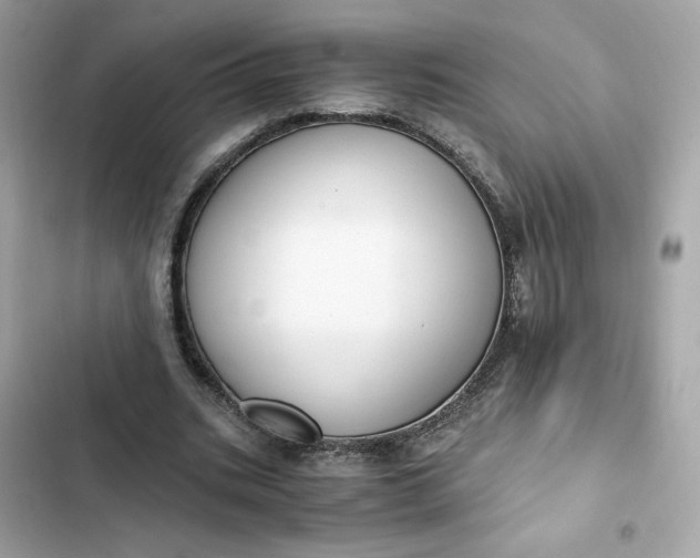 X0000102370535200808151837