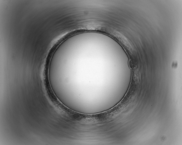 X0000102370536200808151837