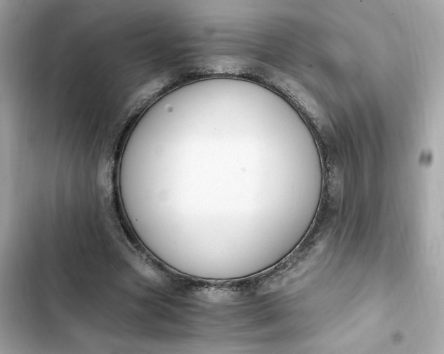 X0000102370537200808151837