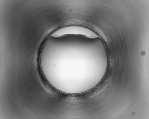 X0000102370538200808151837