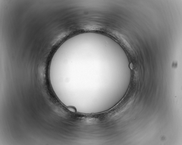 X0000102370539200808151837