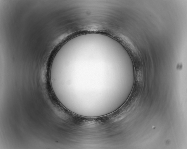 X0000102370540200808151837