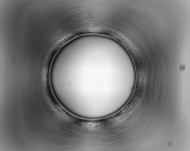 X0000102370542200808151837