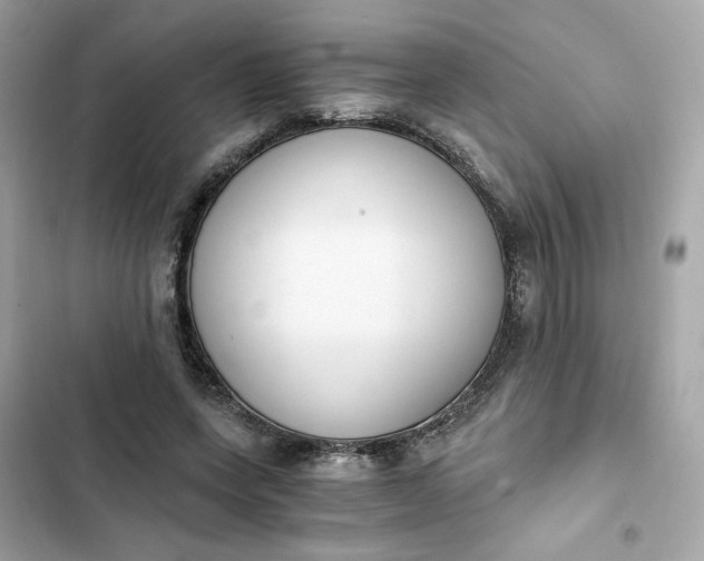 X0000102370543200808151837