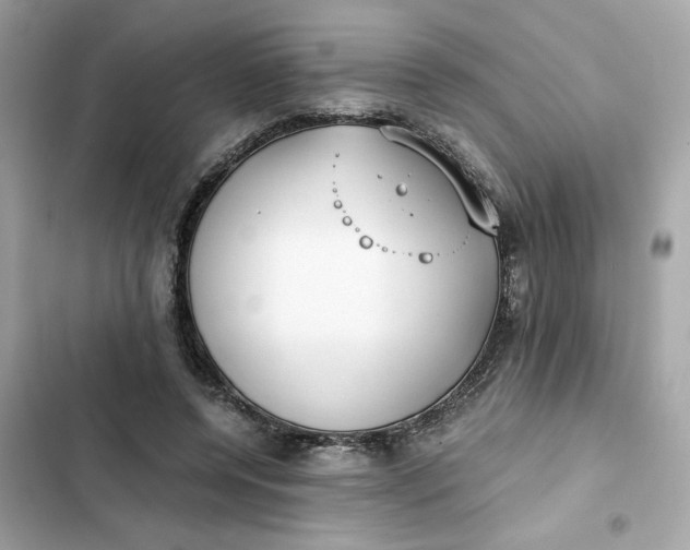 X0000102370544200808151837