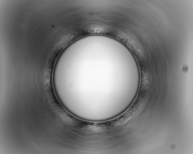 X0000102370545200808151837