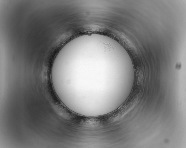 X0000102370546200808151837