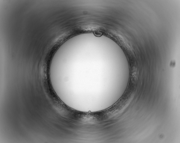 X0000102370547200808151837