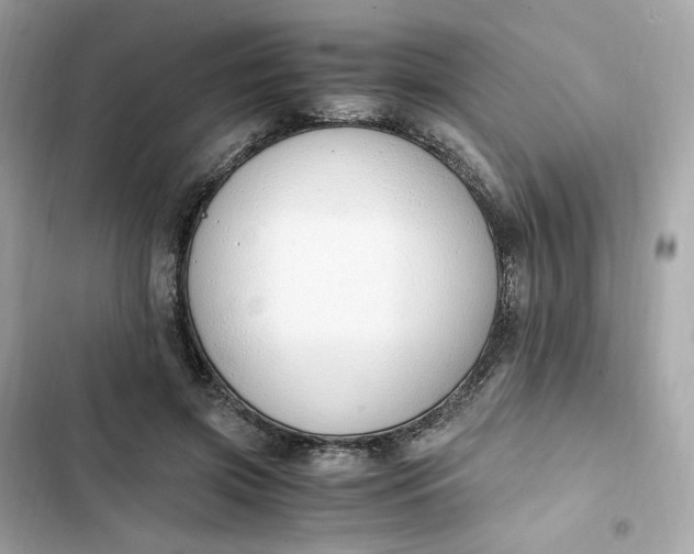 X0000102370549200808151837