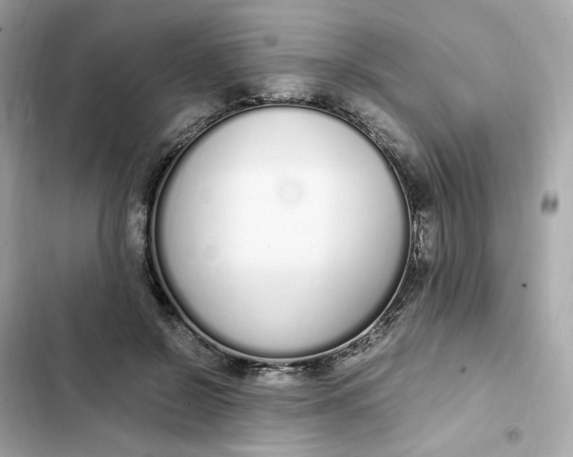 X0000102370550200808151837