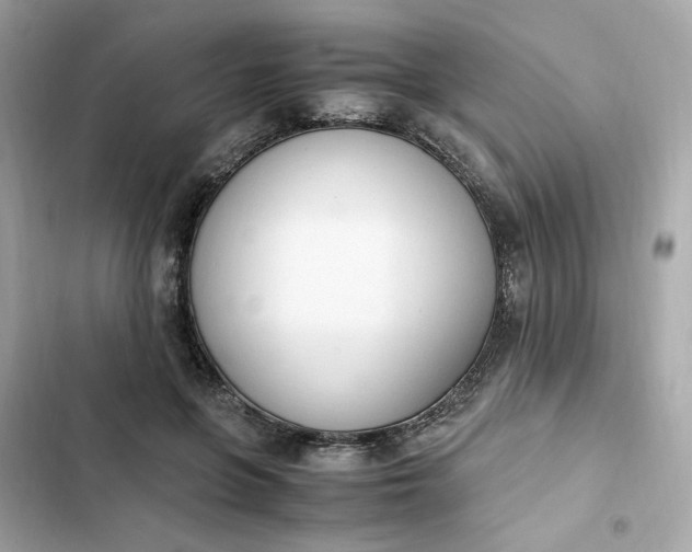 X0000102370551200808151837