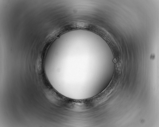 X0000102370552200808151837