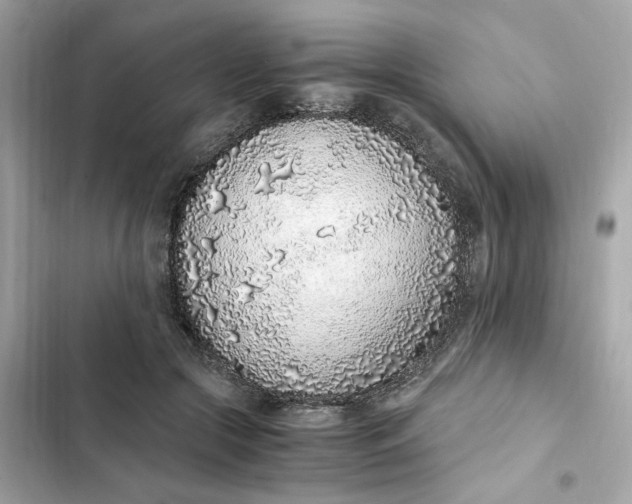 X0000102370553200808151837