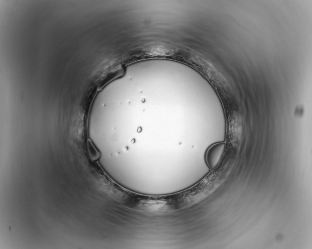 X0000102370554200808151838