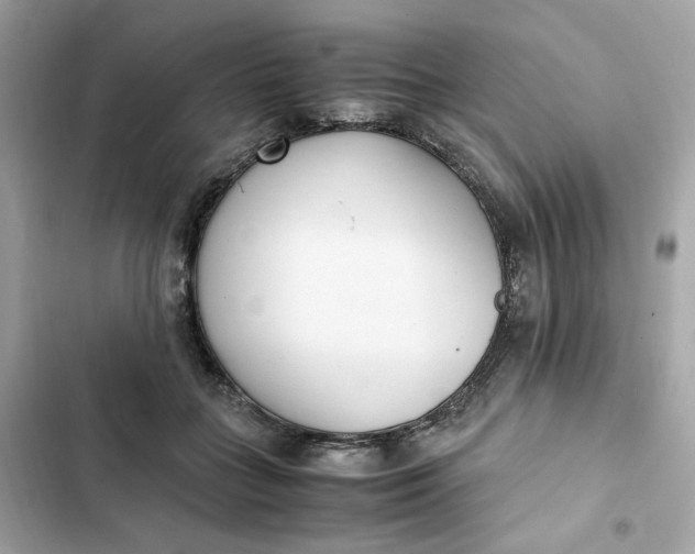 X0000102370555200808151838