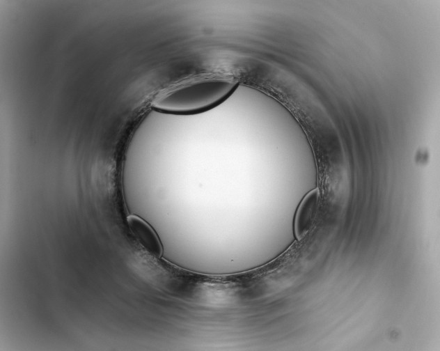 X0000102370556200808151838