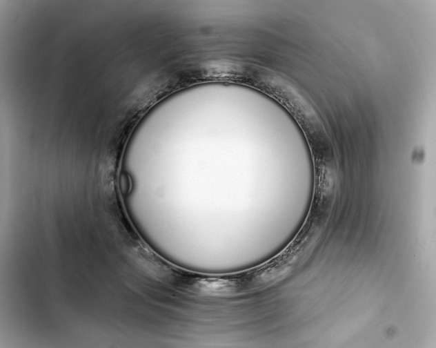 X0000102370557200808151838