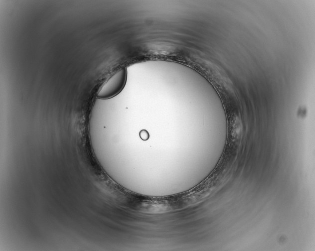 X0000102370559200808151838