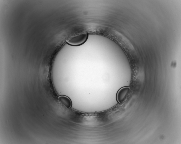 X0000102370560200808151838