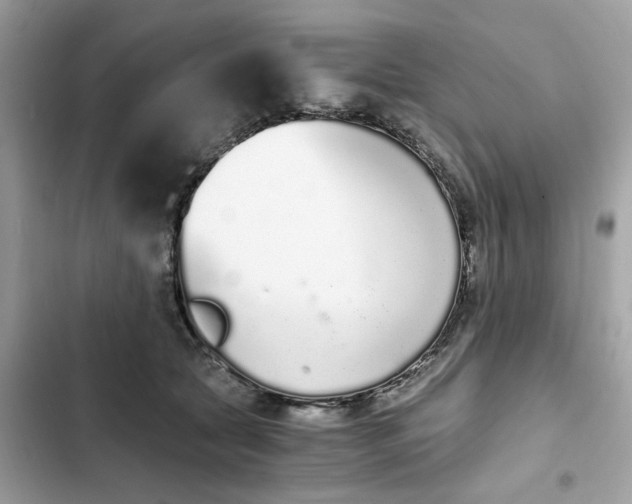 X0000102370561200808151838