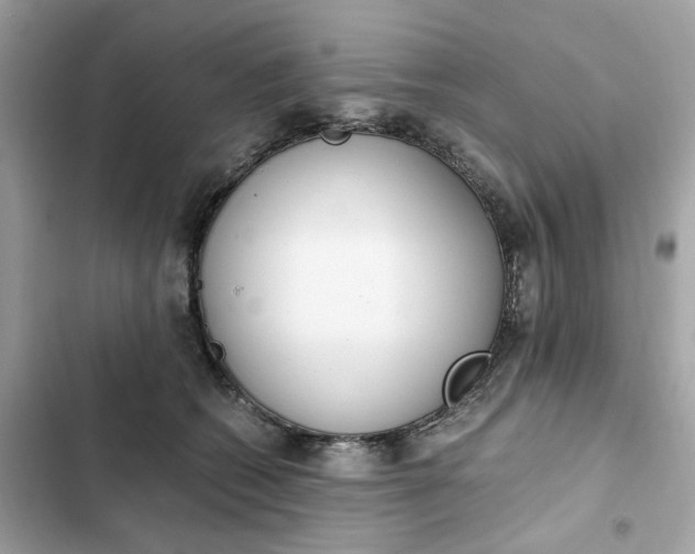 X0000102370562200808151838