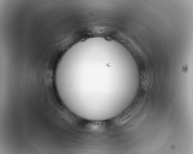 X0000102370563200808151838