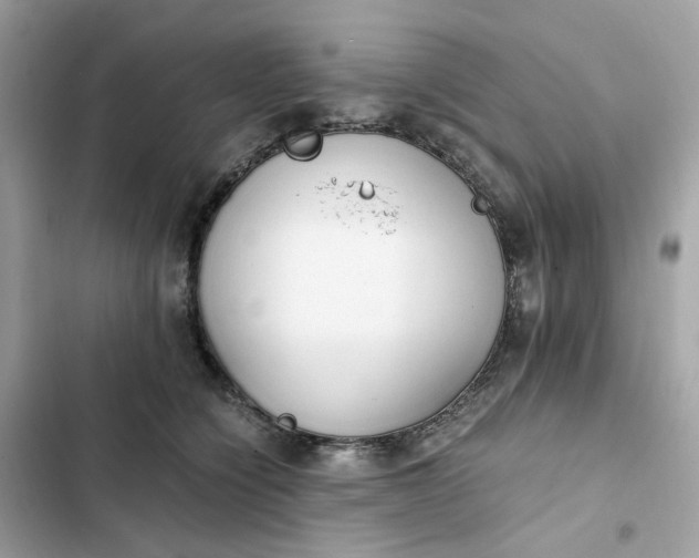 X0000102370564200808151838