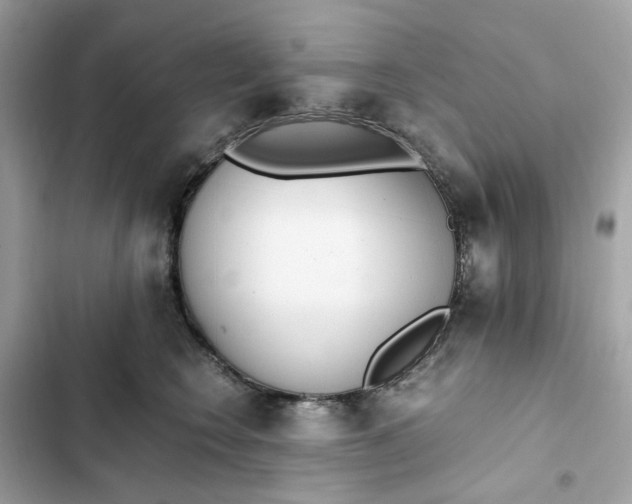 X0000102370566200808151838