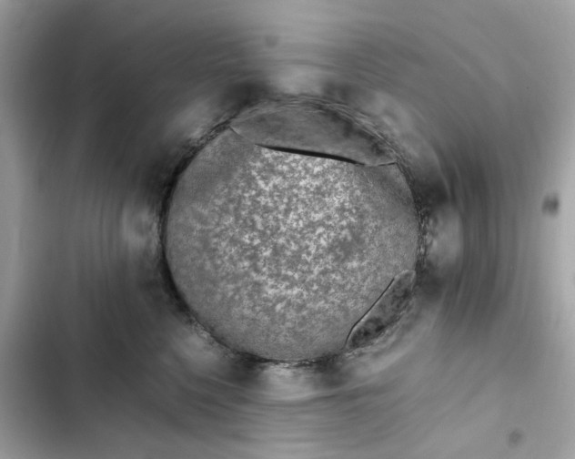 X0000102370568200808151838