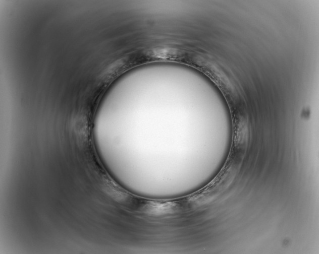 X0000102370569200808151838