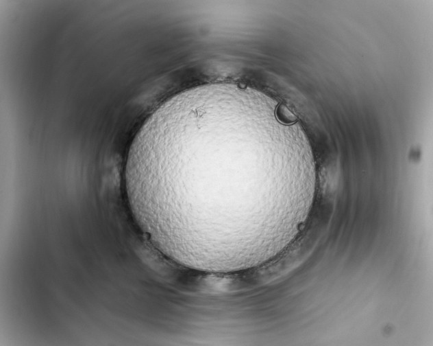 X0000102370570200808151838