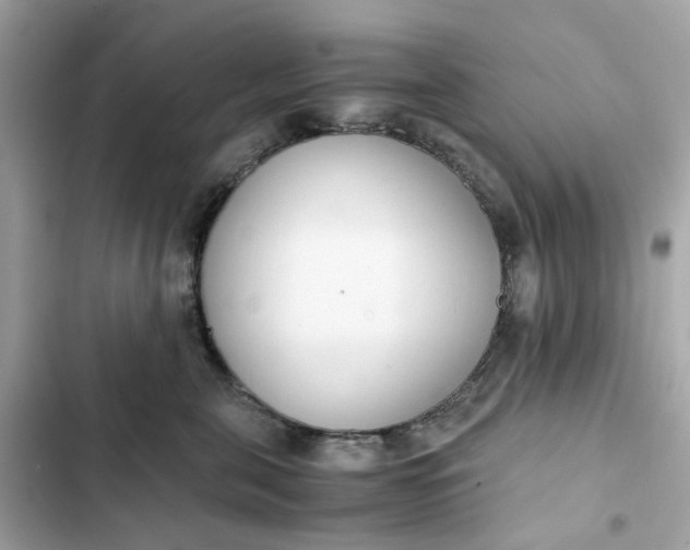 X0000102370571200808151838