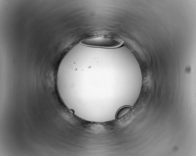 X0000102370572200808151838