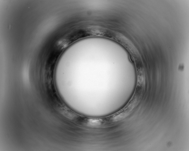 X0000102370573200808151838