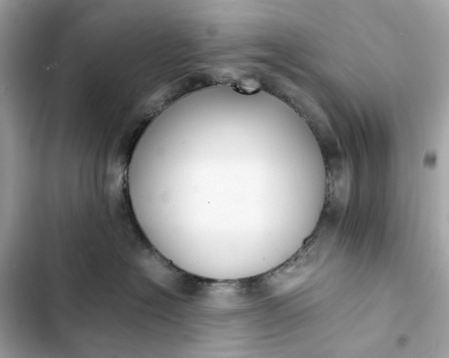 X0000102370574200808151838