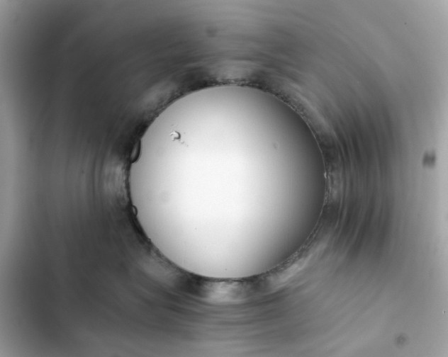 X0000102370575200808151838