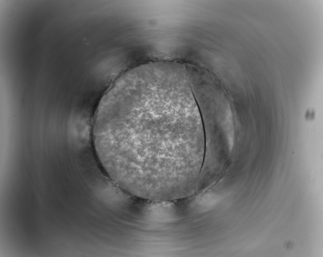 X0000102370576200808151838