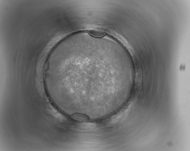 X0000102370577200808151837