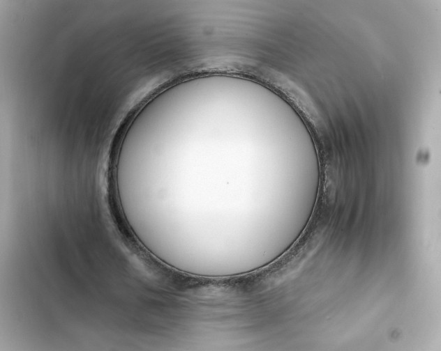 X0000102370578200808151837