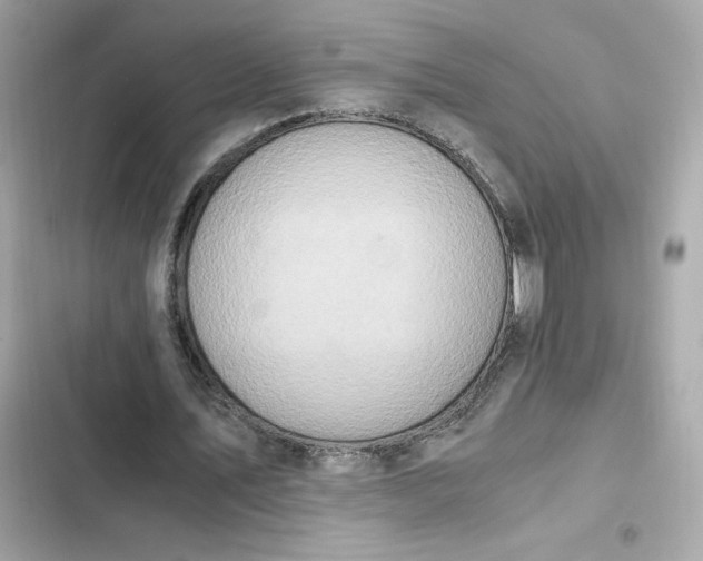 X0000102370579200808151837