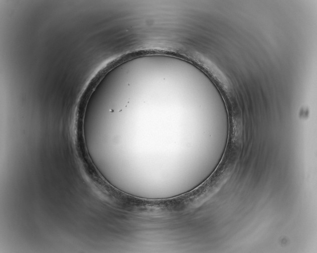 X0000102370580200808151837