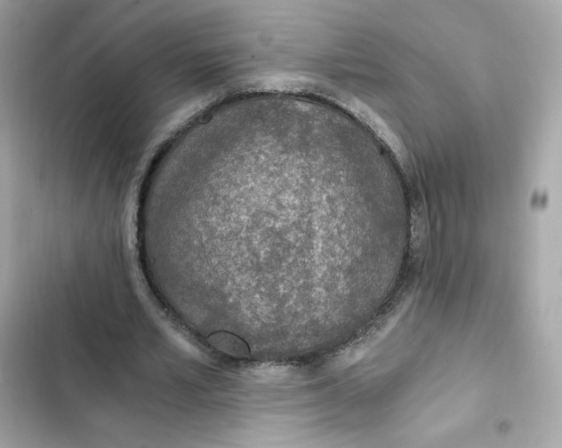 X0000102370581200808151837