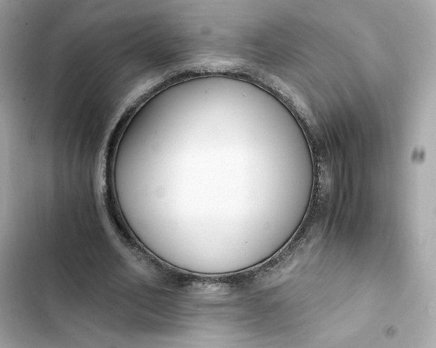 X0000102370582200808151837