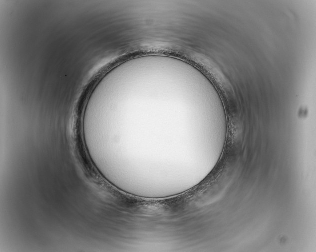 X0000102370583200808151837