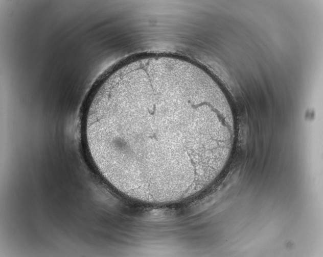 X0000102370584200808151837